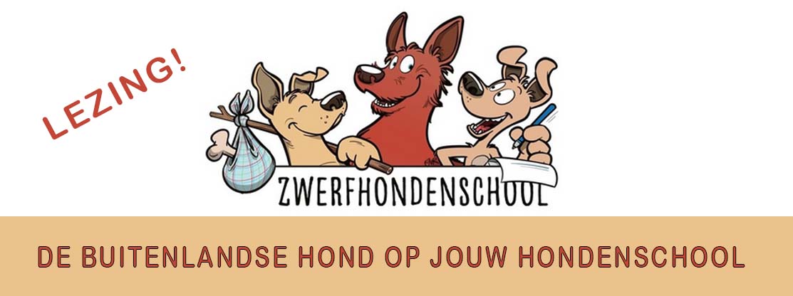 DE BUITENLANDSE HOND OP JOUW HONDENSCHOOL